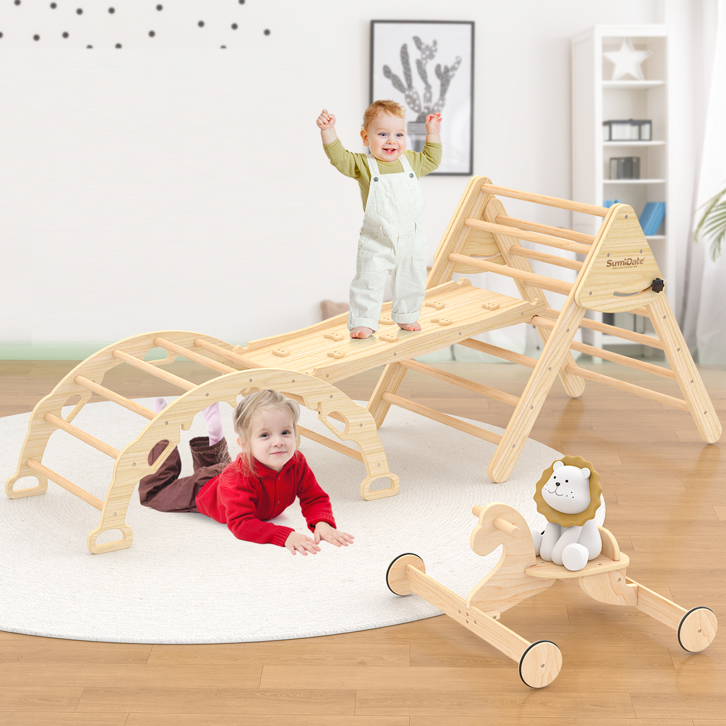 9 in 1 Pikler Triangle Set